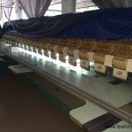 used sewing machines-Tajima-tmfd-920-005